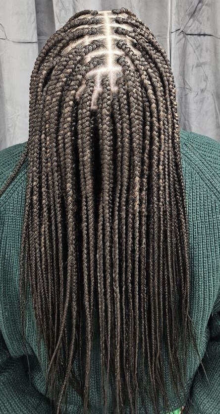 Medium Box Braids